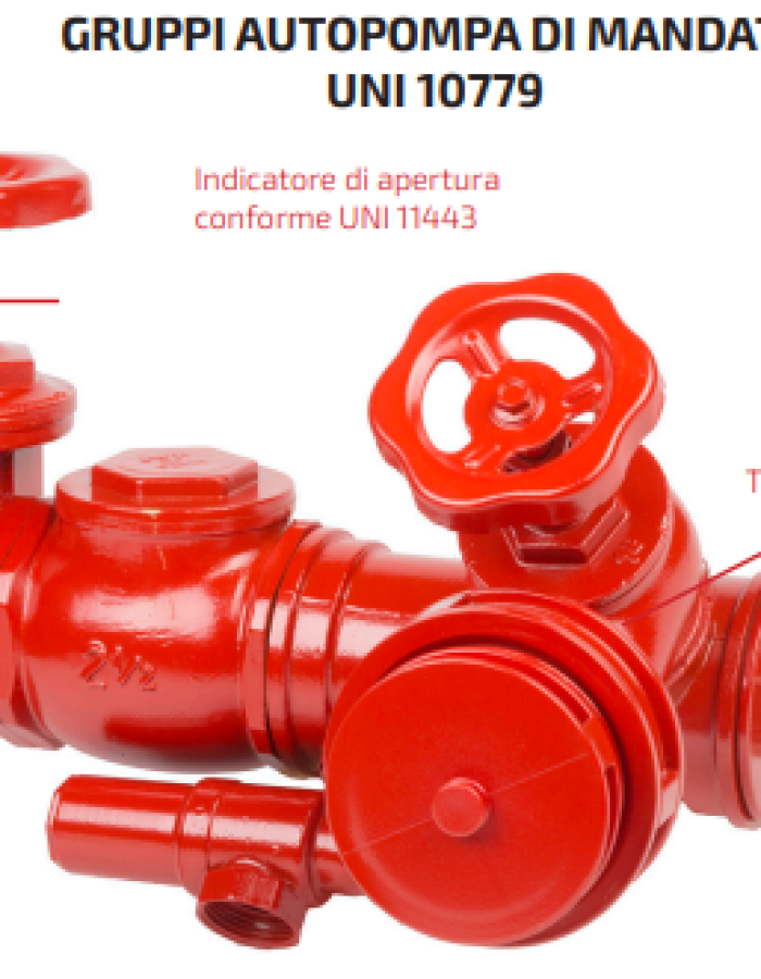 Attacco VV.F. Ø2″1/2 di mandata