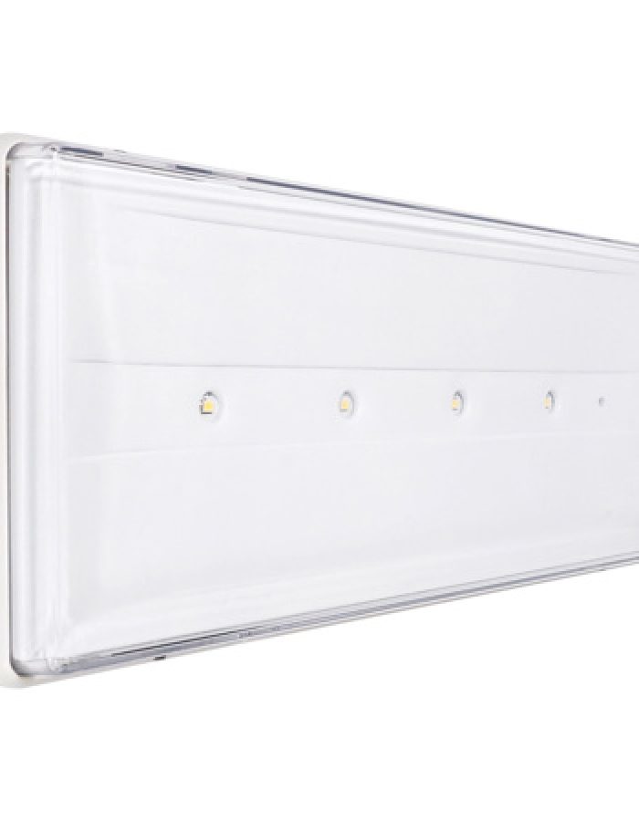 Lampada 11W LED 3h IP42