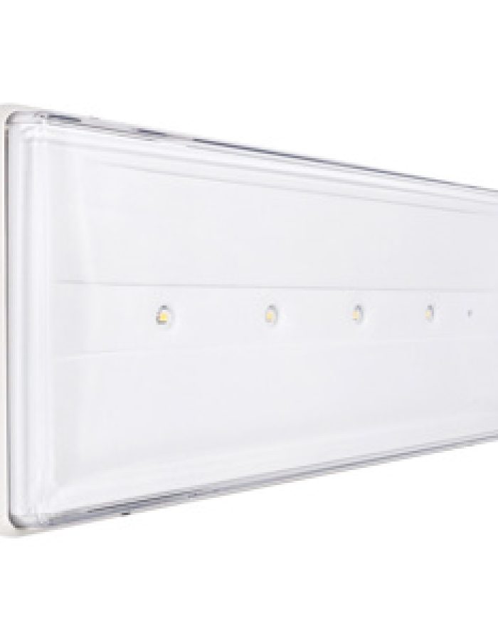Lampada 18W LED 3h IP42